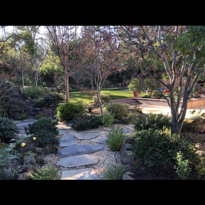 Redwood maintenance services photo 4