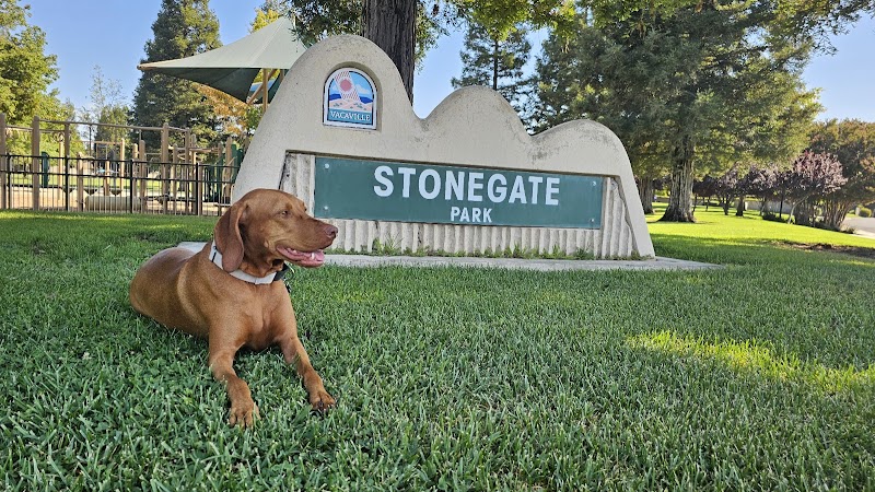 Stonegate Park photo 4