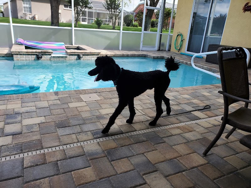 Posh Pups By Andrea Pet Resort photo 5