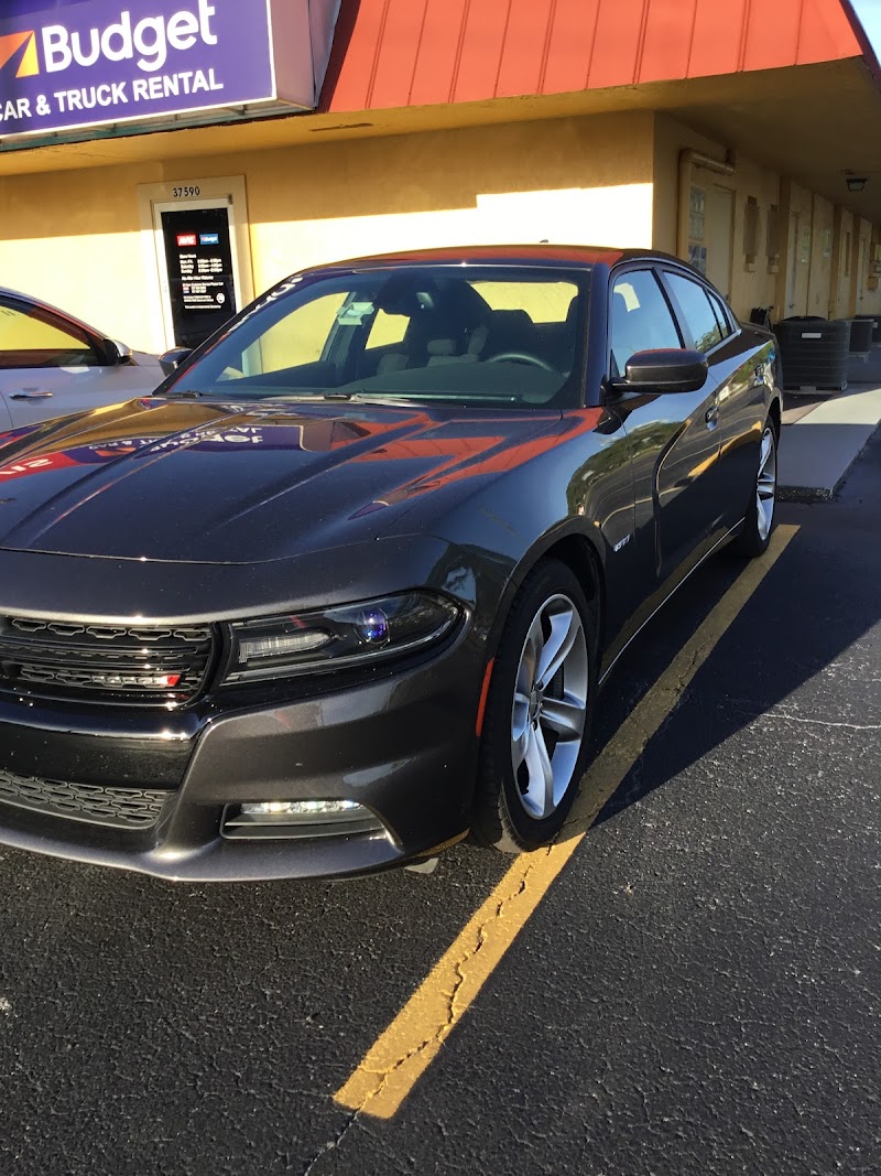Avis Car Rental photo 5