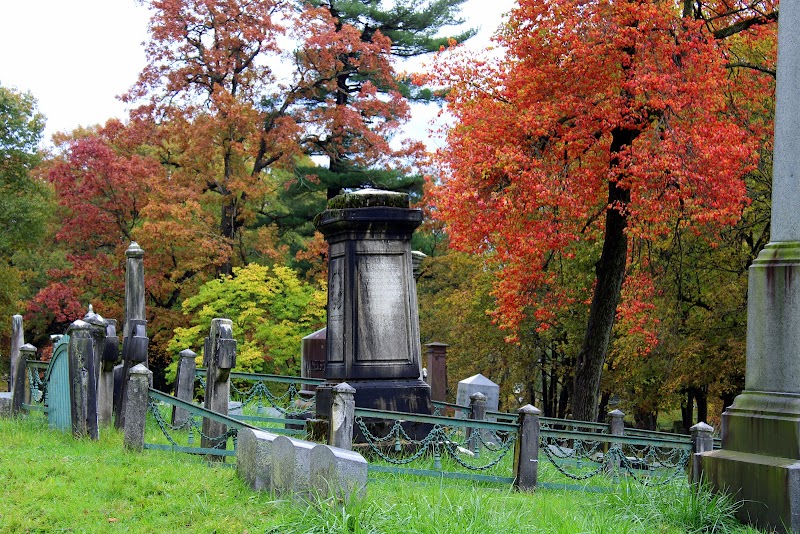 Albany Rural Cemetery photo 3