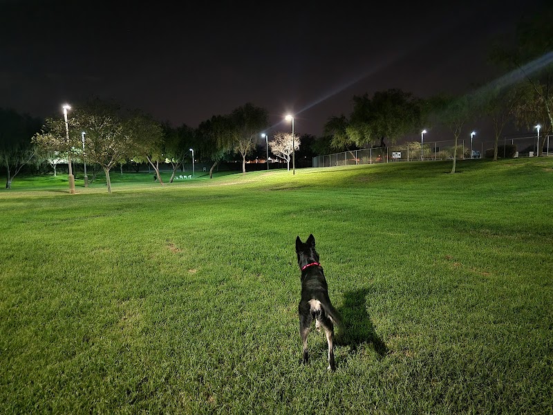 Quail Run Park Off Leash Dog Area photo 4