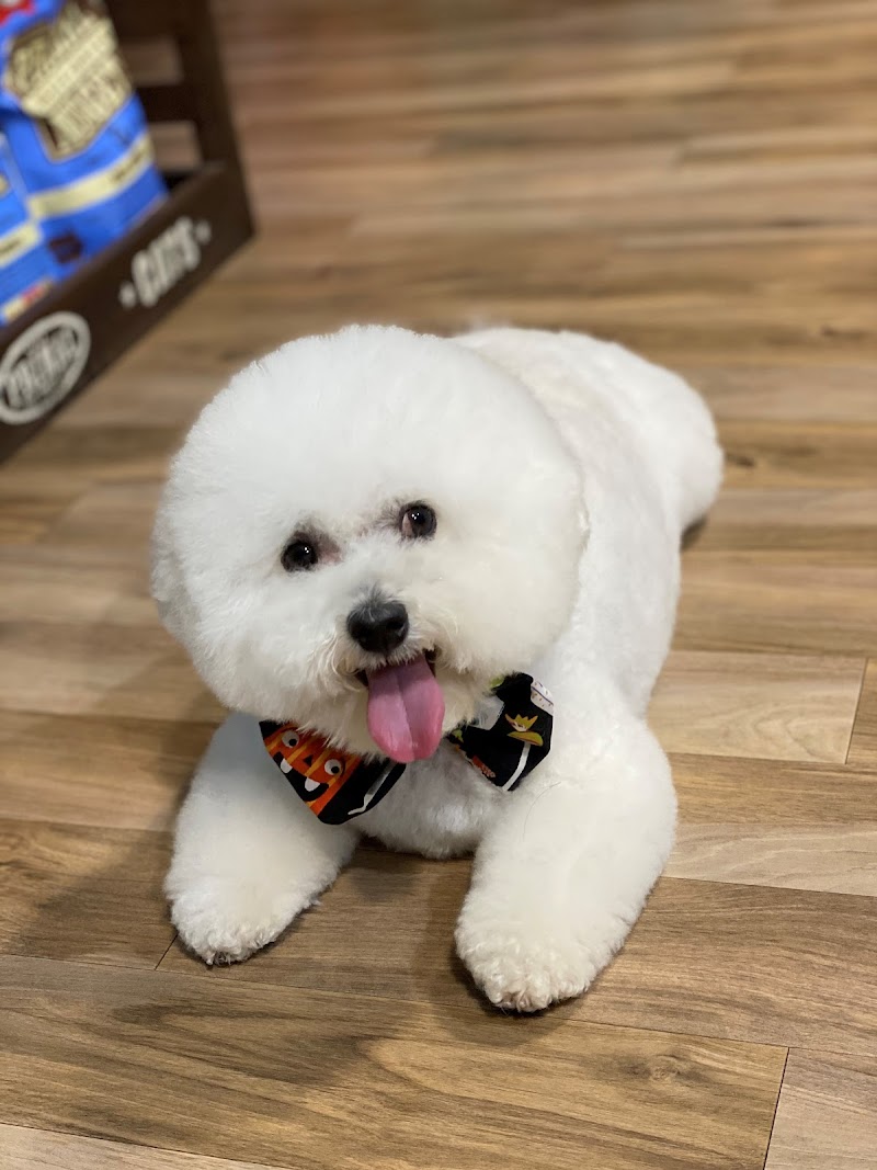 Photo of Max's Pet Market & Salon (Mirada location)