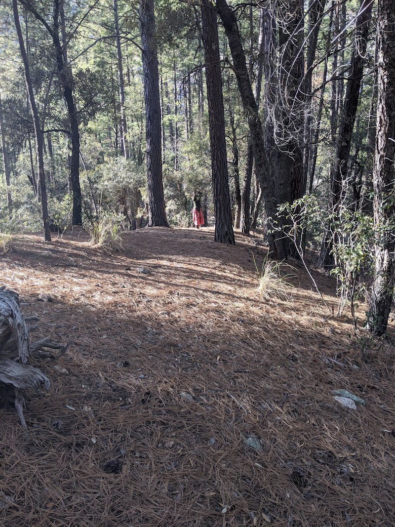 Cypress Picnic Area photo 5