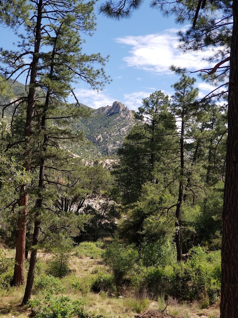 Photo of Cypress Picnic Area