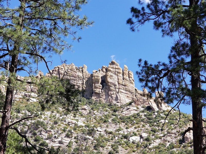 Cypress Picnic Area photo 3