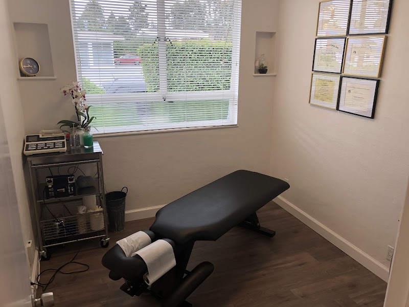 Photo of Dr. Hamed Alereza, Chiropractor