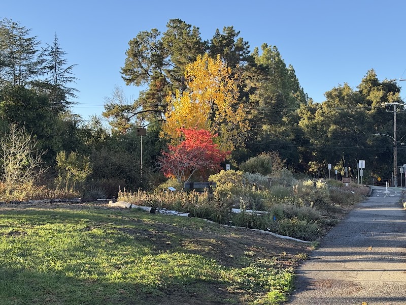 Bol Park Native Garden photo 5