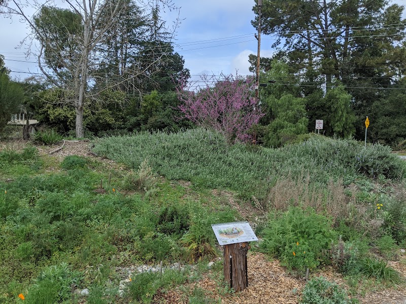 Photo of Bol Park Native Garden