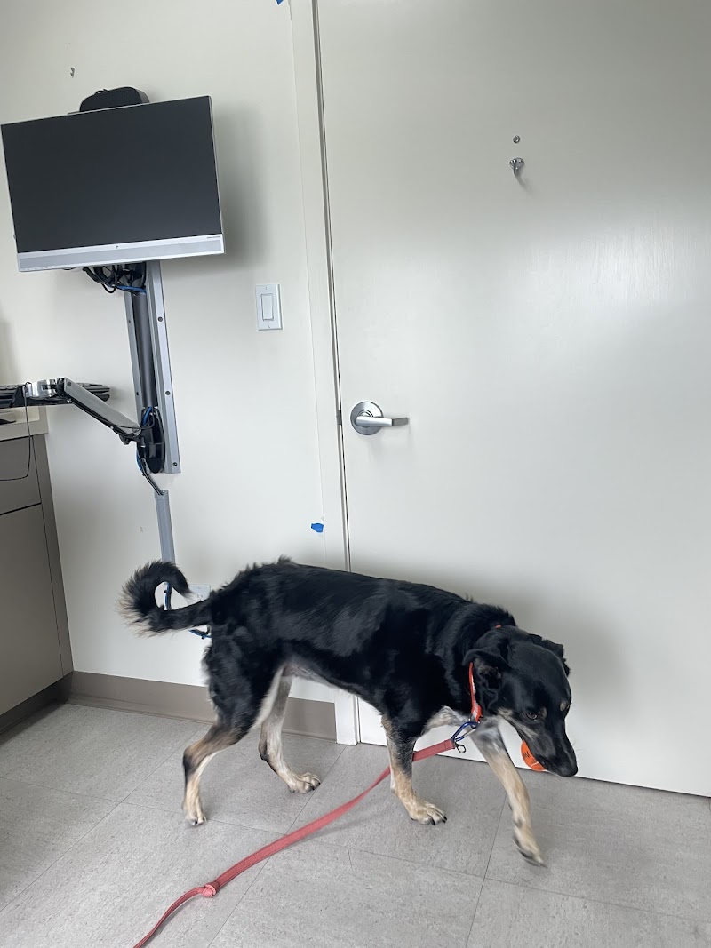 VCA Half Moon Bay Animal Hospital photo 2