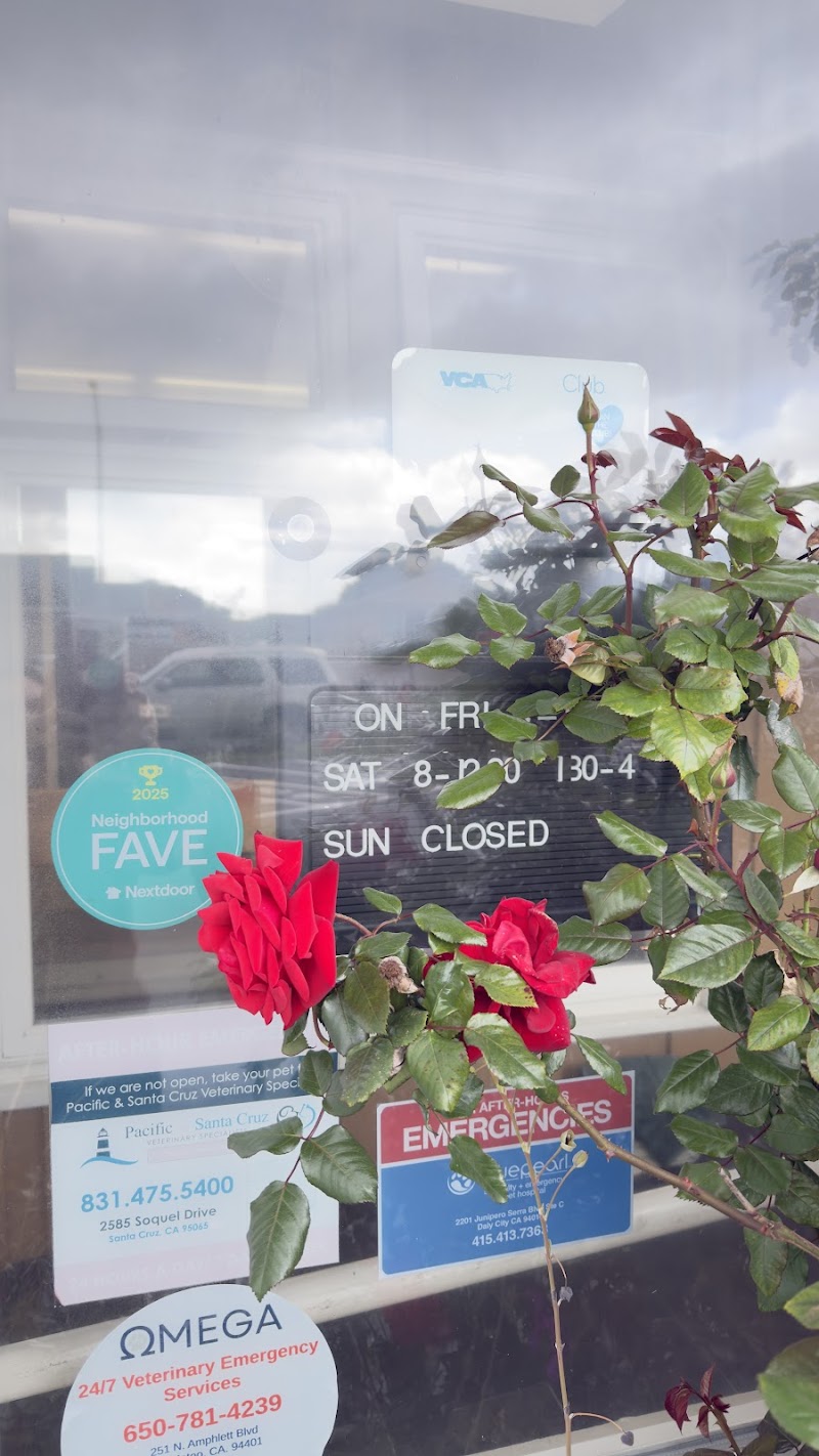 VCA Half Moon Bay Animal Hospital photo 5