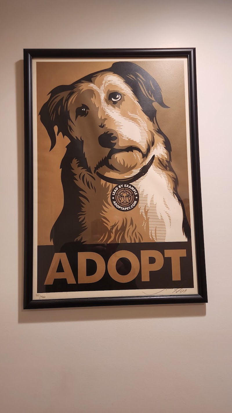 VCA Half Moon Bay Animal Hospital photo 4
