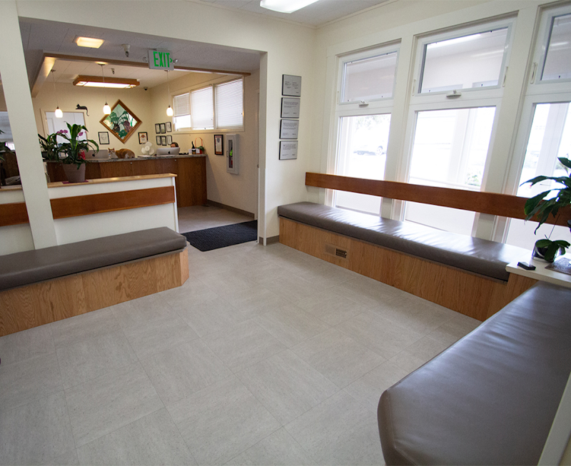 Photo of VCA Half Moon Bay Animal Hospital