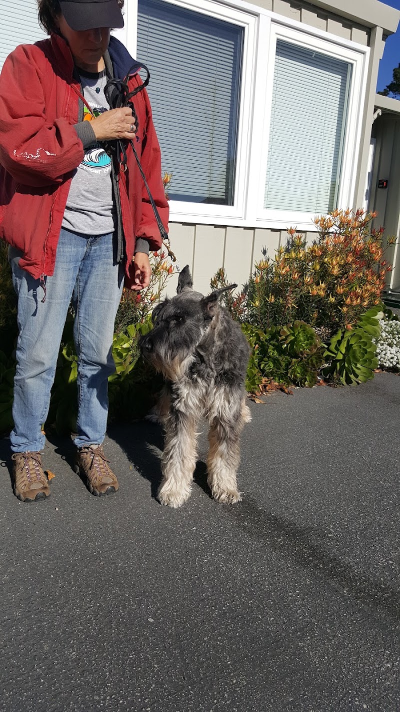 VCA Half Moon Bay Animal Hospital photo 3