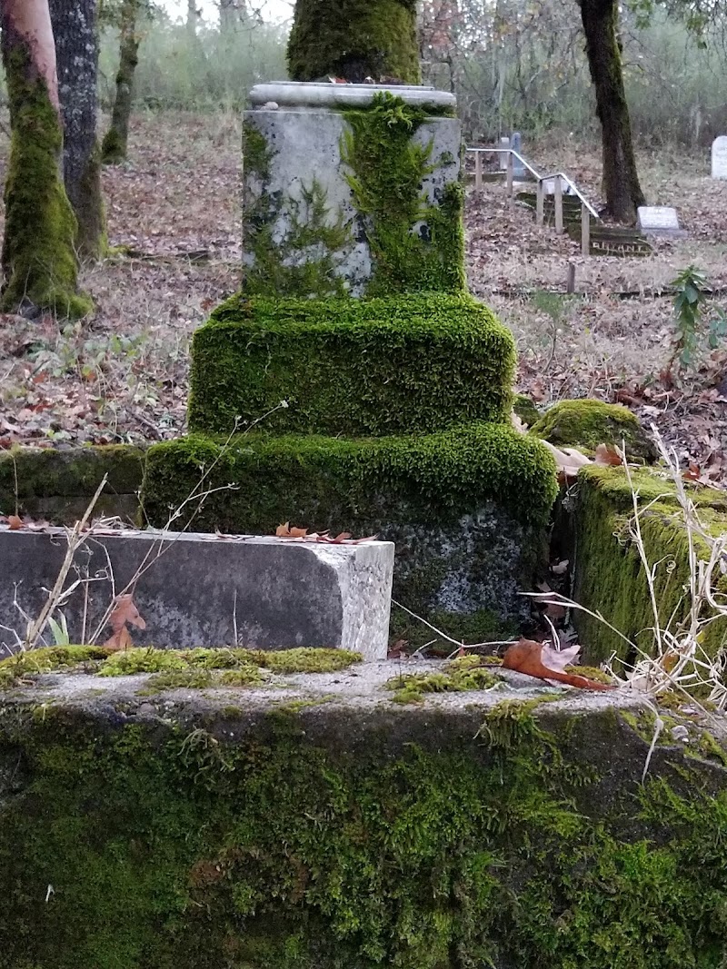 Pioneer Cemetery photo 2