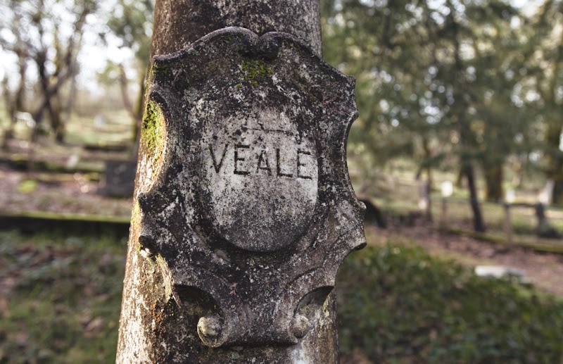 Pioneer Cemetery photo 4