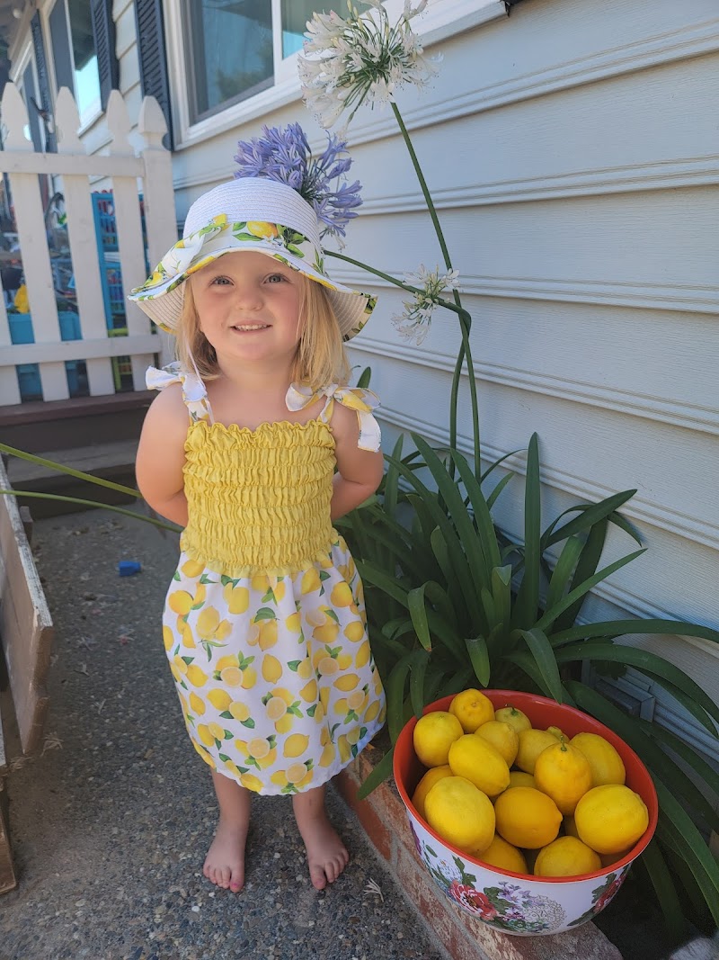 Grow With ME ECE Preschool and Childcare Center photo 4
