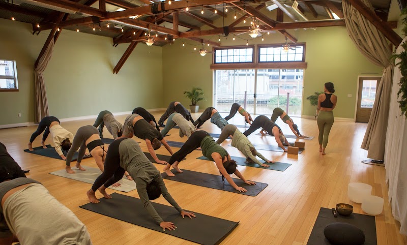 The Yoga Post photo 2