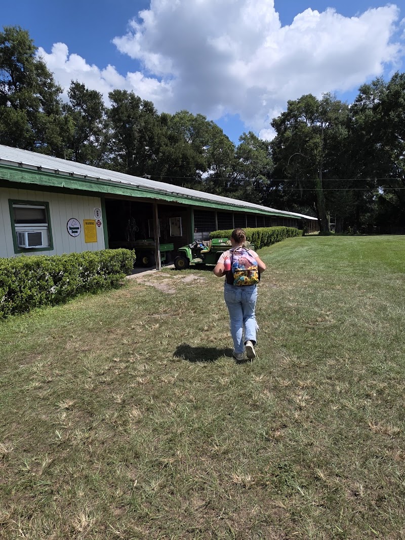 Girl Scouts Camp Wildwood Equestrian Center photo 3