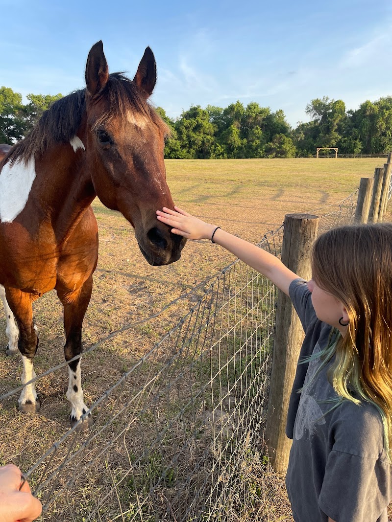 Girl Scouts Camp Wildwood Equestrian Center photo 4