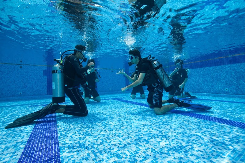 Anderson's Scuba Diving photo 2