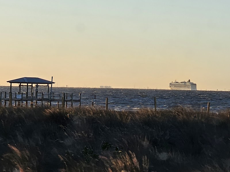Apollo Beach Preserve photo 3
