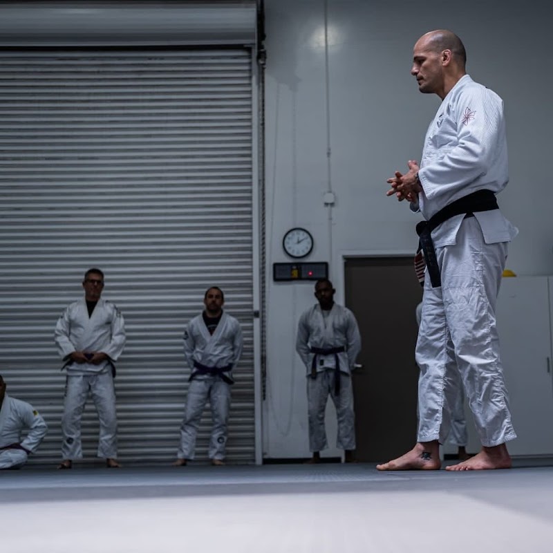 925 Jiu Jitsu photo 5