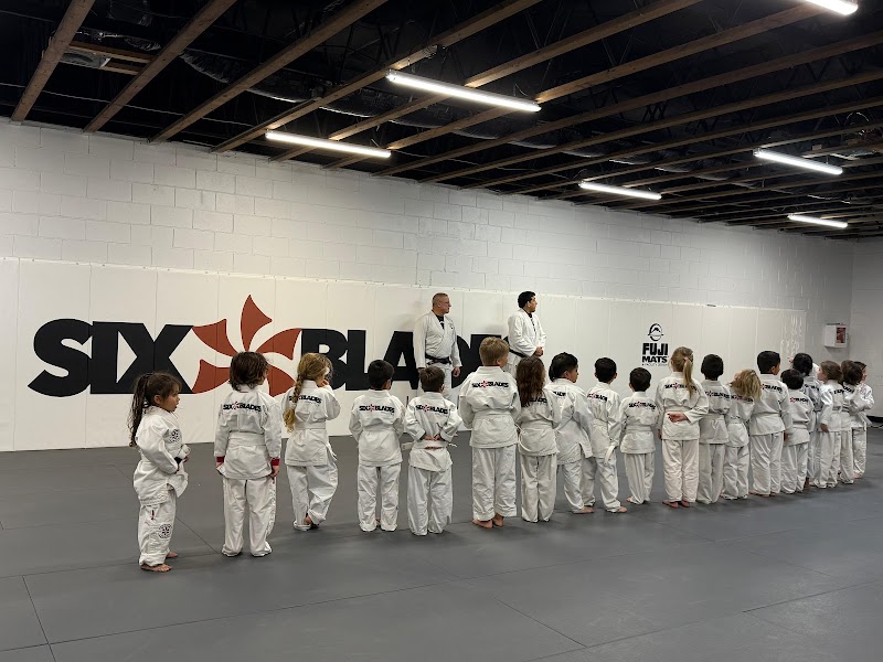 925 Jiu Jitsu photo 3