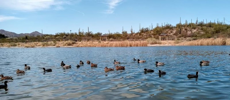 Kearny Lake City Park photo 5