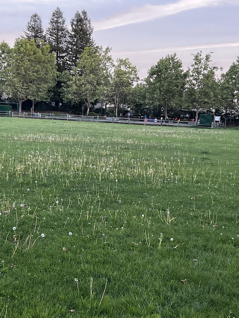 Lakewood Meadows Park photo 3
