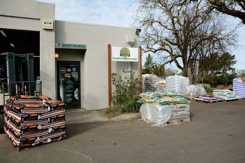 Deep Roots Hydroponics photo 4