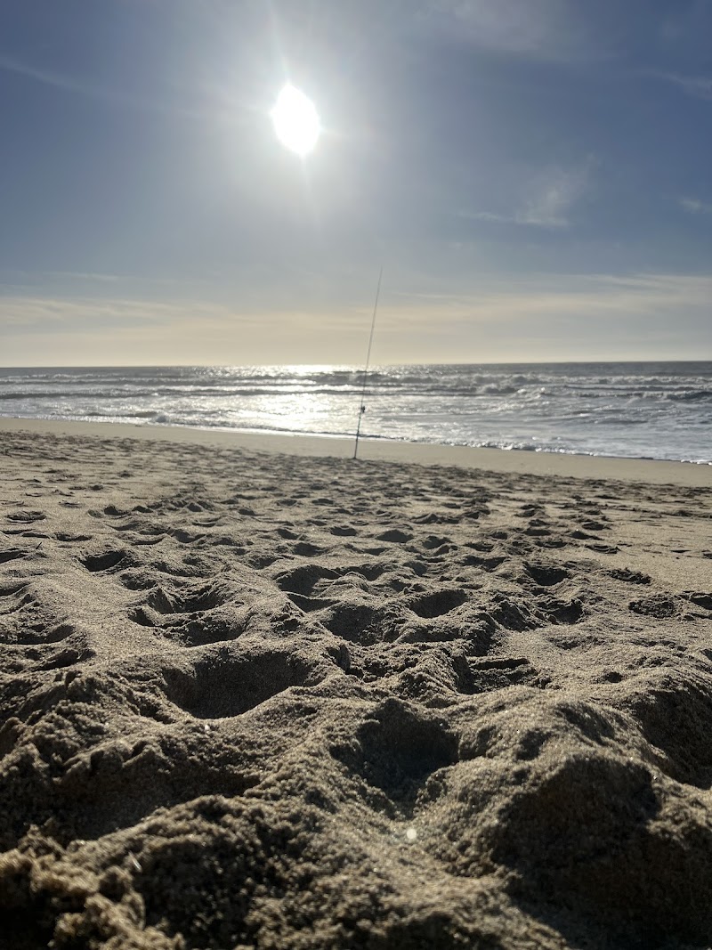 Dunes Beach - Half Moon Bay State Beach photo 5