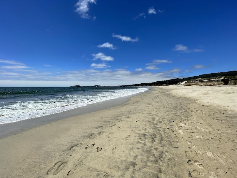 Dunes Beach - Half Moon Bay State Beach photo 2