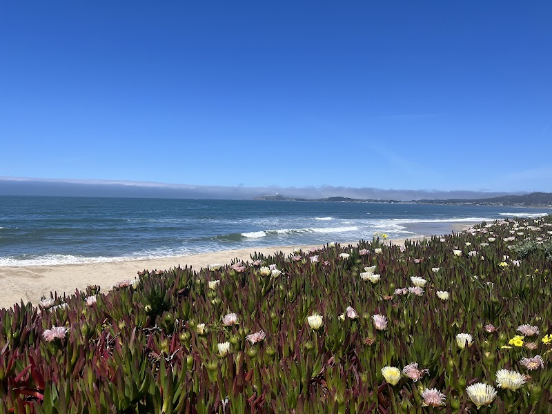Dunes Beach - Half Moon Bay State Beach photo 4