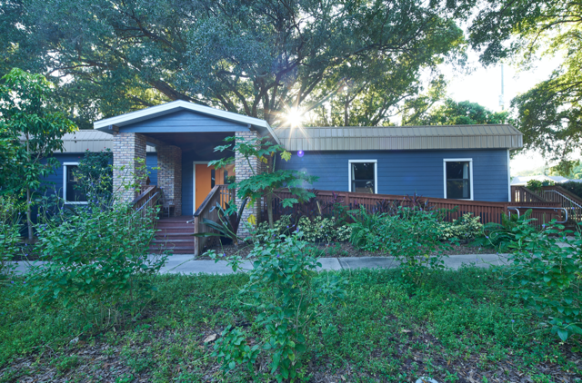 The Waldorf School of Tampa Bay photo 2