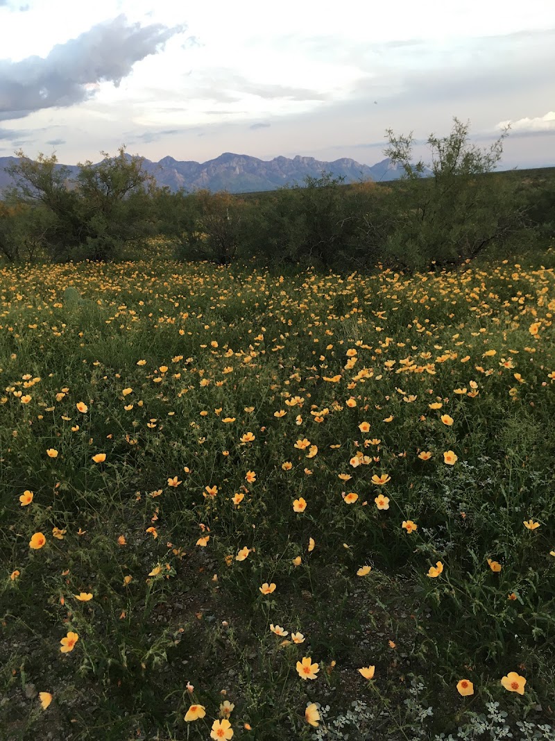 Pinal Pioneer Parkway Northern Boundary Rest Area photo 4