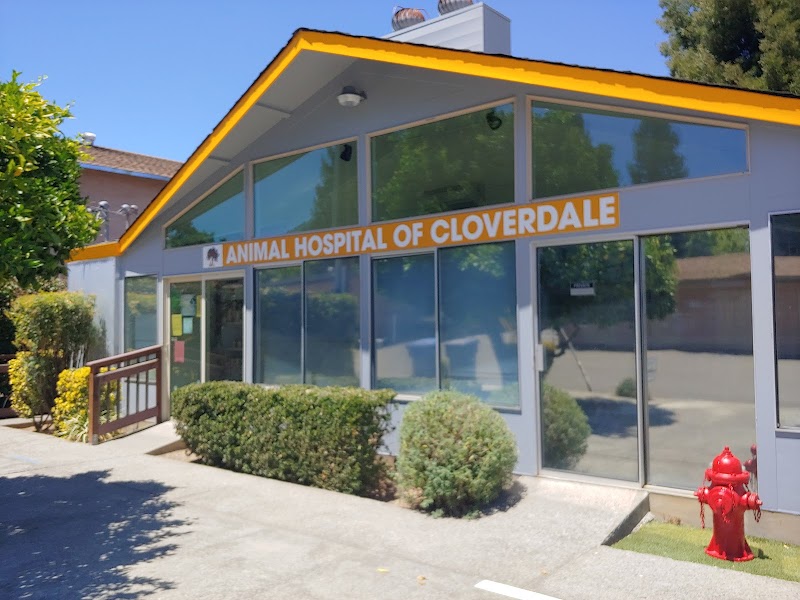 Animal Hospital of Cloverdale photo 2