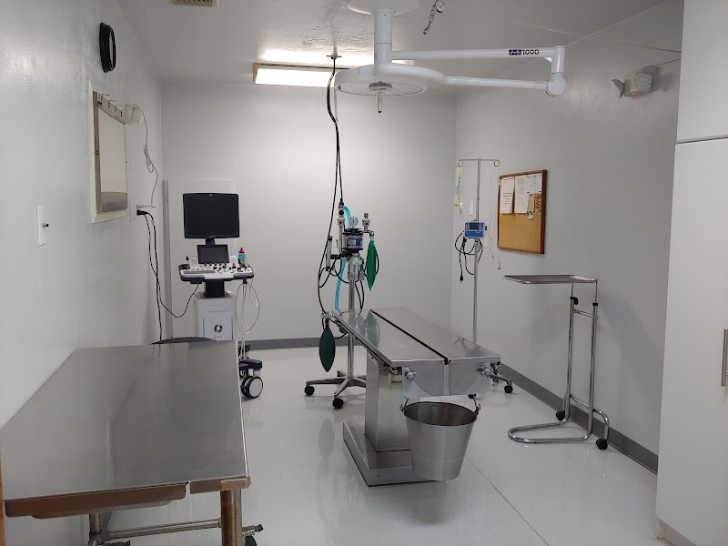 Animal Hospital of Cloverdale photo 3