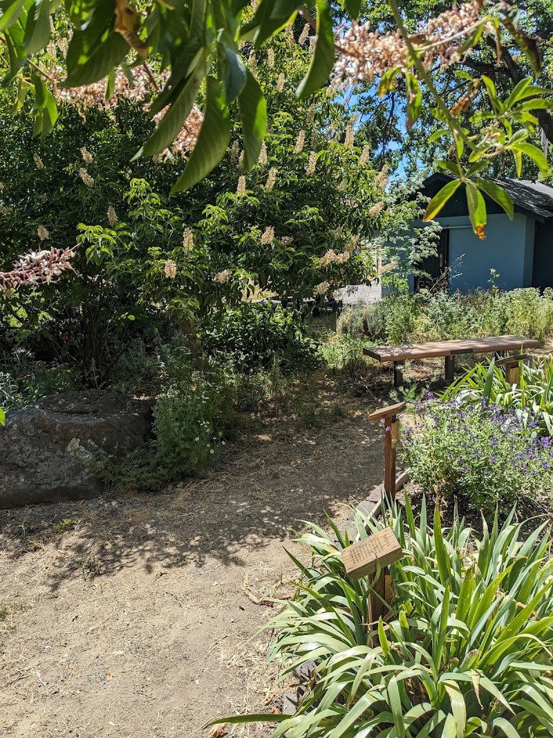 Sebastopol Peace Garden photo 4