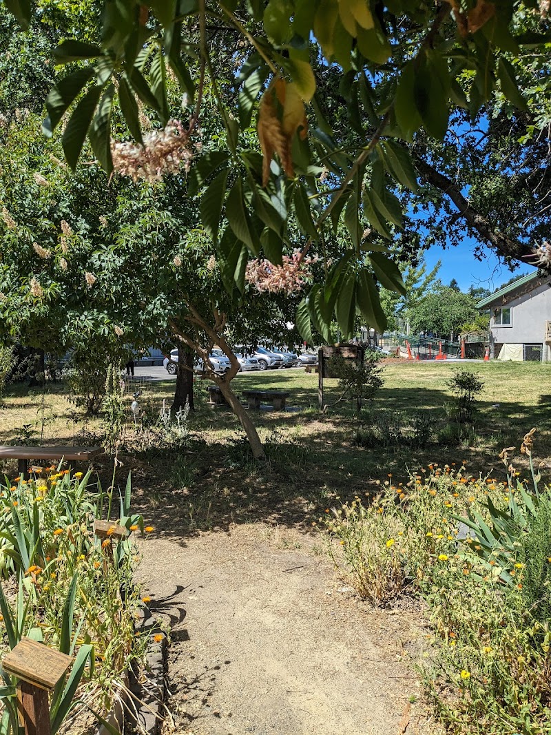 Sebastopol Peace Garden photo 5