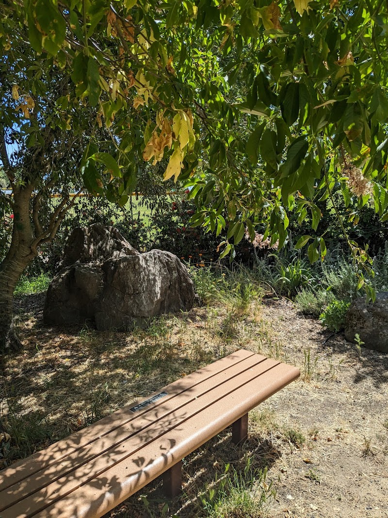 Sebastopol Peace Garden photo 3