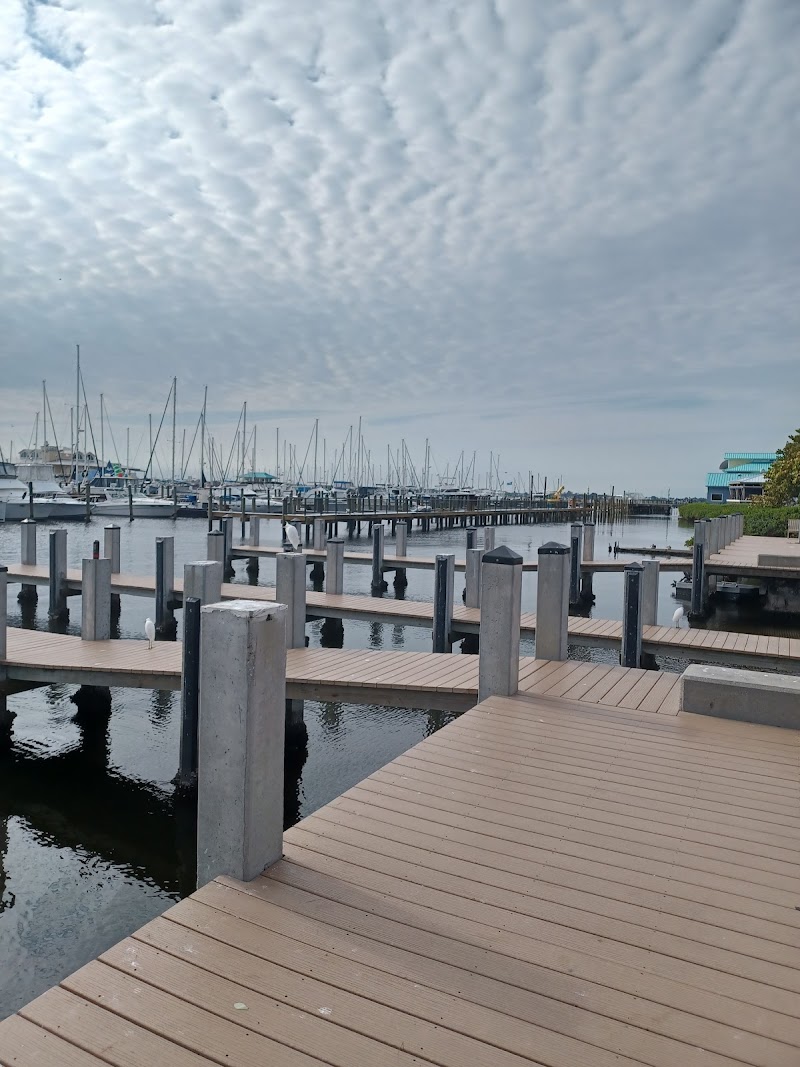 Palmetto fishing pier photo 4