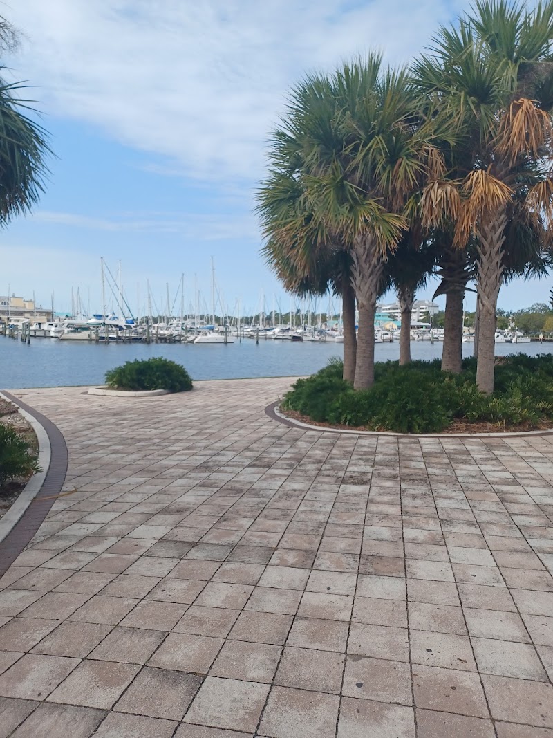Palmetto fishing pier photo 5