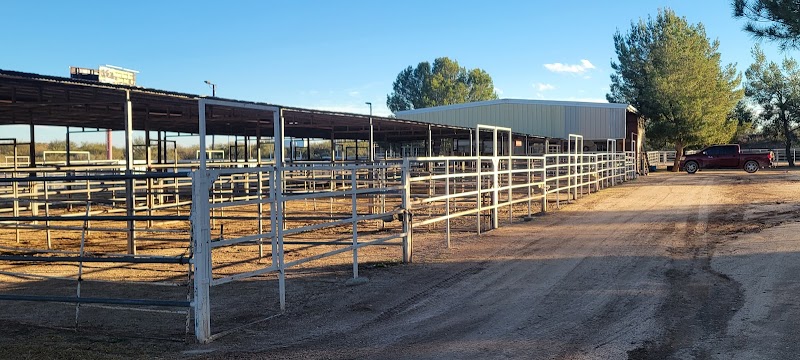 4EVR Ranch photo 4