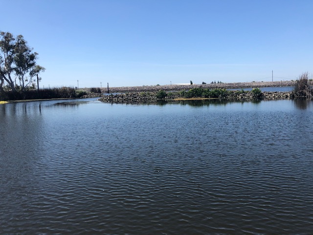 Turner Cut Resort photo 4