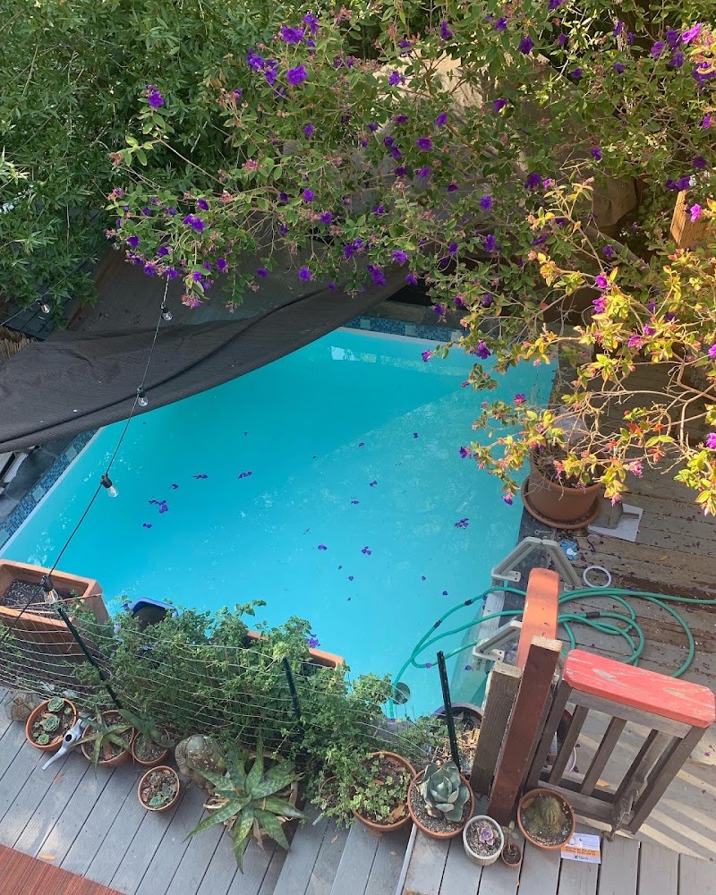 flow2wellness-Water Massage Spa - San Anselmo photo 2