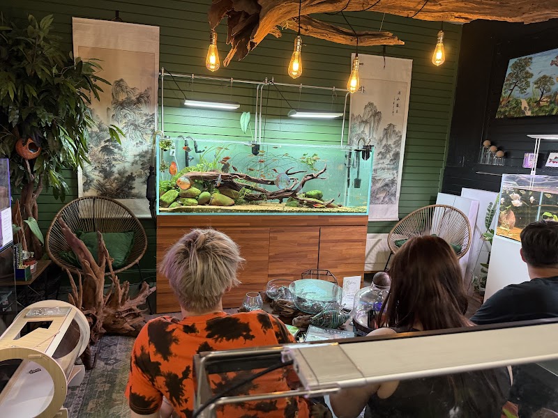 Aquatic Galleria photo 3
