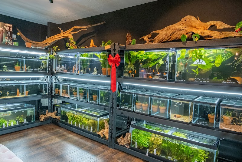 Aquatic Galleria photo 2