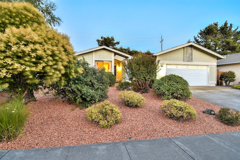 Jen Birmingham | Real Estate Agent in Petaluma, CA photo 5