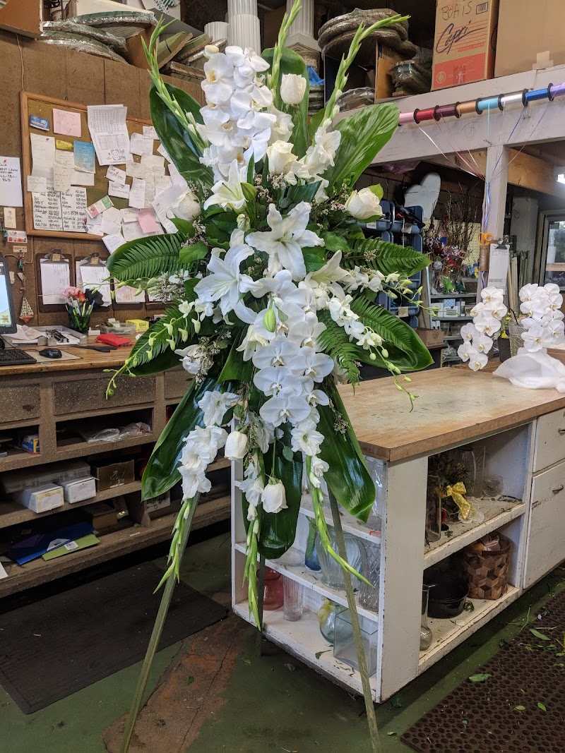 Melinda Mc Coy's Flowers photo 4
